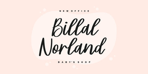 Steally Grace Font Allouse.Studio 