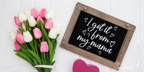 Steally Grace Font Allouse.Studio 