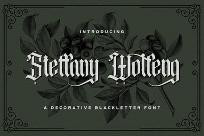Steffany Wolfeng - Blackletter Font Font StringLabs 