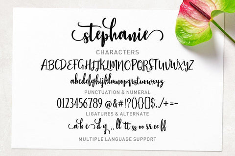 Stephanie Script Font Poen1983 