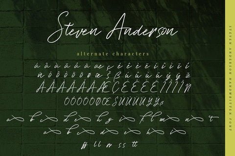 Steven Anderson - Signature Font Font Ibey Design 