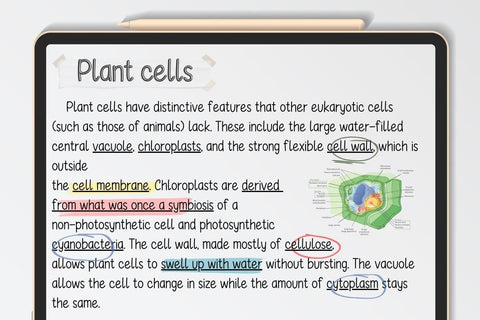 Sticky Notes - Neat Handwriting Font Font ChiraaDesign 