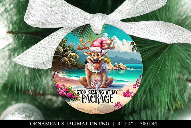Stop Staring At My Package Naughty Christmas Ornament PNG Sublimation BijouBay 