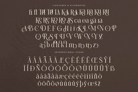 Storyline Regario Font Duo Font Storytype Studio 