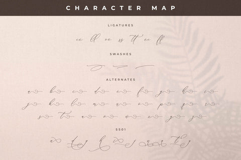 Storyline Regario Font Duo Font Storytype Studio 