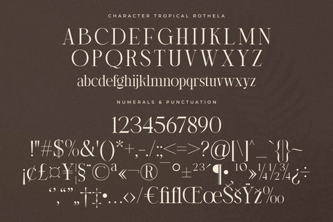 Storyline Regario Font Duo Font Storytype Studio 