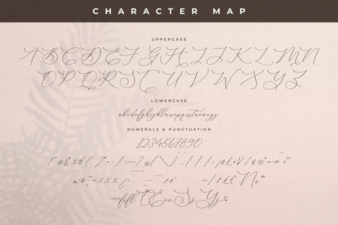 Storyline Regario Font Duo Font Storytype Studio 