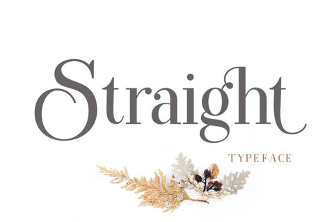 Straight Font Duo Plus Ornament Font Poen1983 