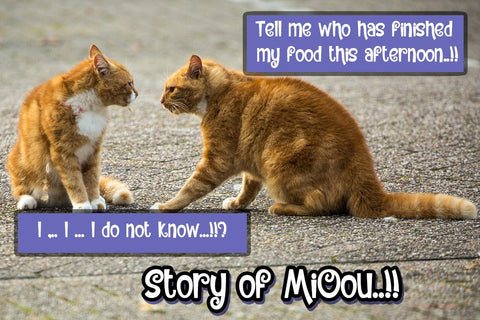 Strange of Story Font JH-CreativeFont 