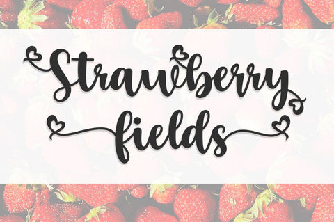 Strawberry Field Forever Trio Font Font Studio Natural Ink 