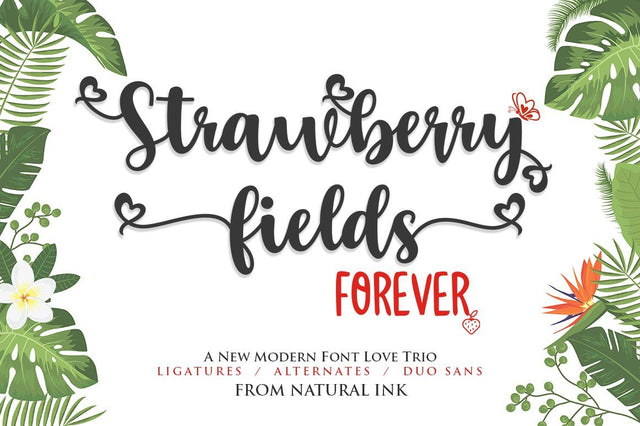 Strawberry Field Forever Trio Font Font Studio Natural Ink 