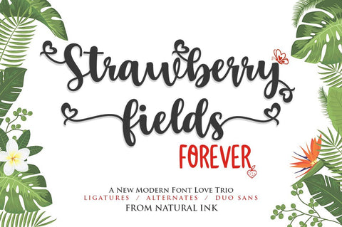 Strawberry Field Forever Trio Font Font Studio Natural Ink 