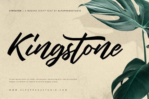 Streator - Modern Script Font Font Alpaprana Studio 