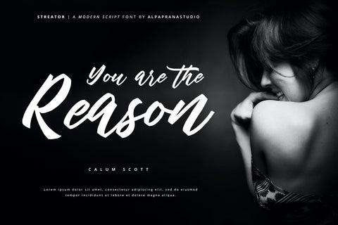 Streator - Modern Script Font Font Alpaprana Studio 