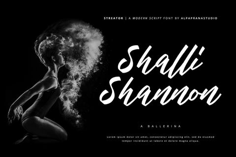 Streator - Modern Script Font Font Alpaprana Studio 