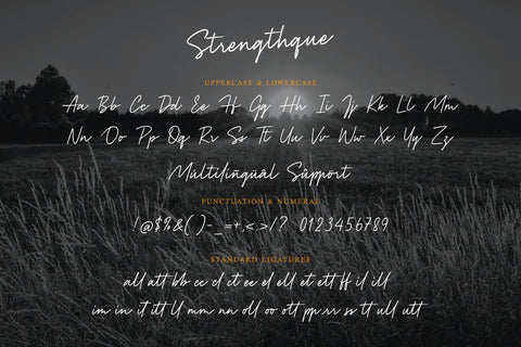 Strenghtque Font Allouse.Studio 