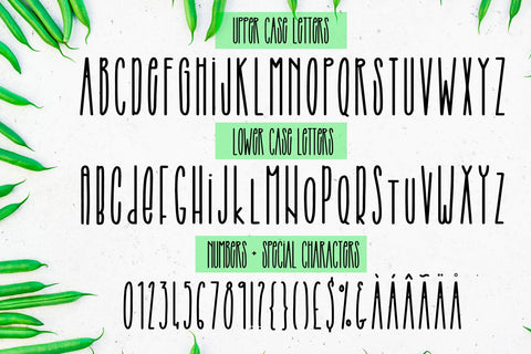 String Beans Font Freeling Design House 