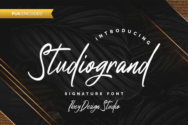 Studiogrand - Signature Font Font Ibey Design 