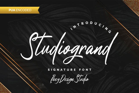 Studiogrand - Signature Font Font Ibey Design 