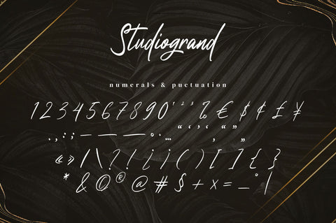 Studiogrand - Signature Font Font Ibey Design 