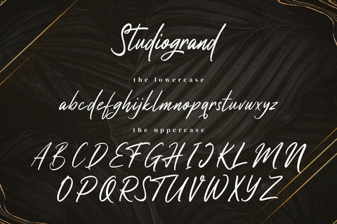 Studiogrand - Signature Font Font Ibey Design 
