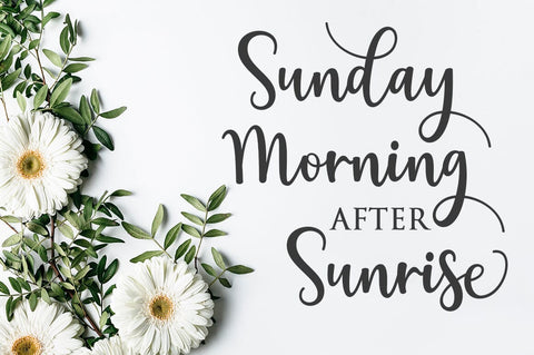 Stupids Font Studio Natural Ink 