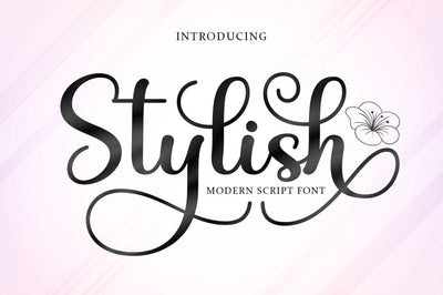 Stylish Script Font Rotterlab studio 
