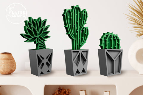 Succulent Bundle Multilayer CACTUS SET OF 10 Multilayer Laser Cut Files, Mandala, Round Sign SVG, 3D Designs, Mini Design Bundles SVG LaserCutano 