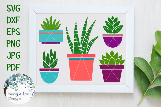 Succulent Bundle SVG Wispy Willow Designs