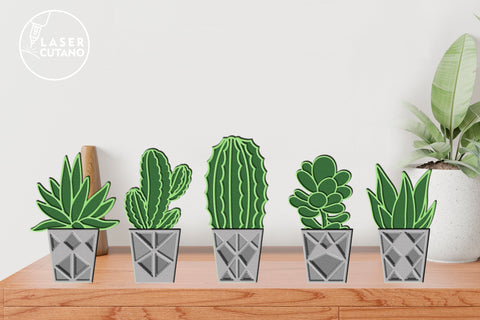 SUCCULENT Home Decor SVG, Flower, Multilayer Laser Cut Files, 3D Designs, Mini Design Bundles SVG LaserCutano 