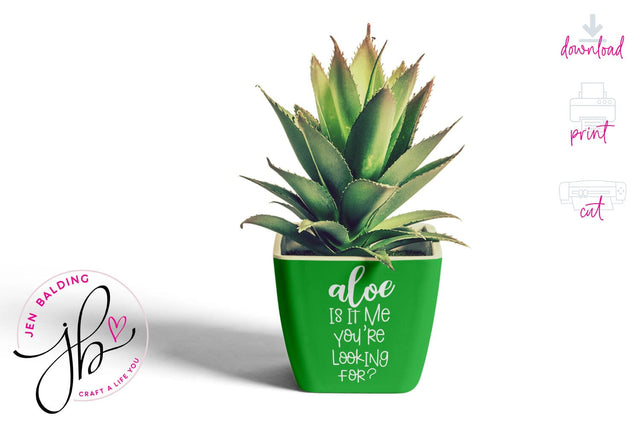 Succulent SVG Aloe Is It Me SVG Jen Balding 