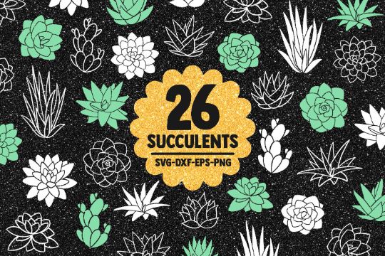Succulent SVG bundle, cactus svg, cactus clipart, cacti svg, plant svg, plants svg, svg designs, svg files for cricut, nature svg, papercut SVG James 