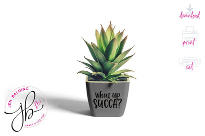 Succulent SVG l What Up Succa Succulent Puns SVG Jen Balding 