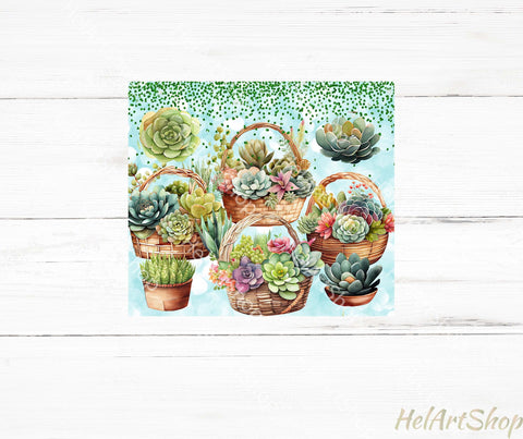 Succulent Tumbler PNG, Cactus SKINNY TUMBLER 20 Oz PNG Sublimation _HelArtShop_ 