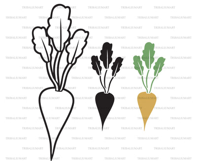 Sugar beet SVG TribaliumArtSF 