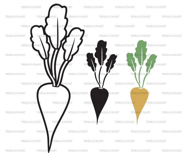 Sugar beet SVG TribaliumArtSF 