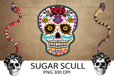 Sugar Scull Sublimation. Sugar Scull Png. Sublimation Samaha Design 