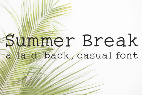 Summer Break Hand Lettered Font | Handlettered Font Font Maple & Olive Designs 