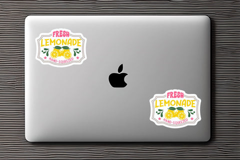 Summer farmhouse Sticker Bundle Sublimation DESIGNS DARK 