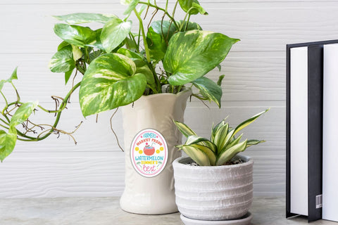 Summer farmhouse Sticker Bundle Sublimation DESIGNS DARK 