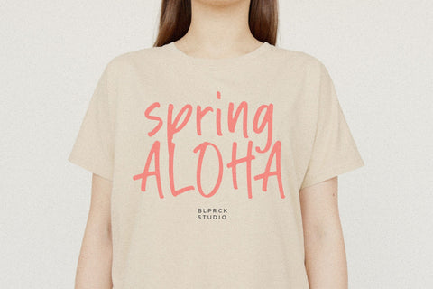 Summer Notes Font Font Balpirick 