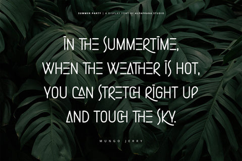 Summer Party - Display Font Font Alpaprana Studio 