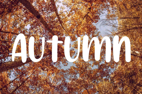 Summer Sunshine Font LetterdayStudio 