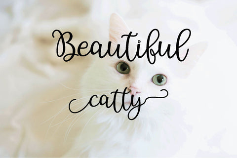 Sunday Font Rtceative 