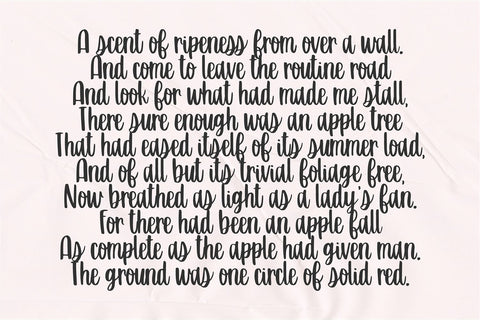 Sunday Kitchen Brush Script Font Blush Font Co. 