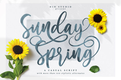 Sunday Spring Script Font Din Studio 
