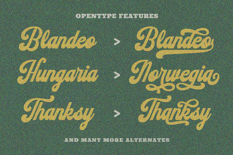 Sundoes - Cool and Fun Script Display Font ahweproject 