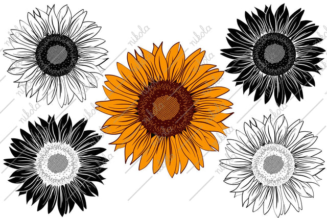 Sunflower Clipart Cut File PNG SVG EPS DXF PDF SVG nikola 