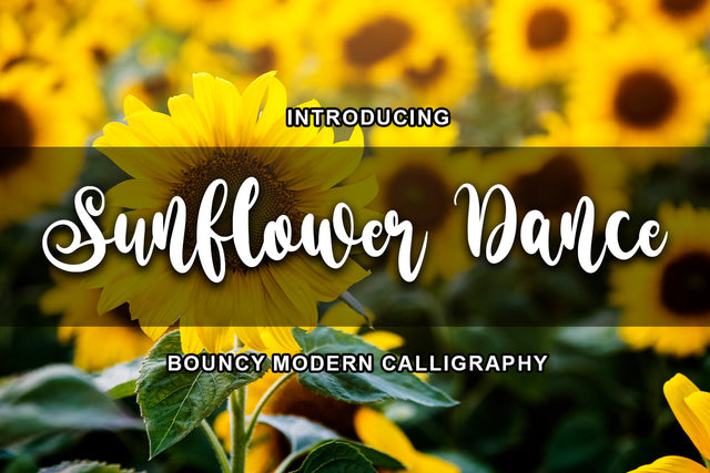 Sunflower Dance Font Abo Daniel Studio 