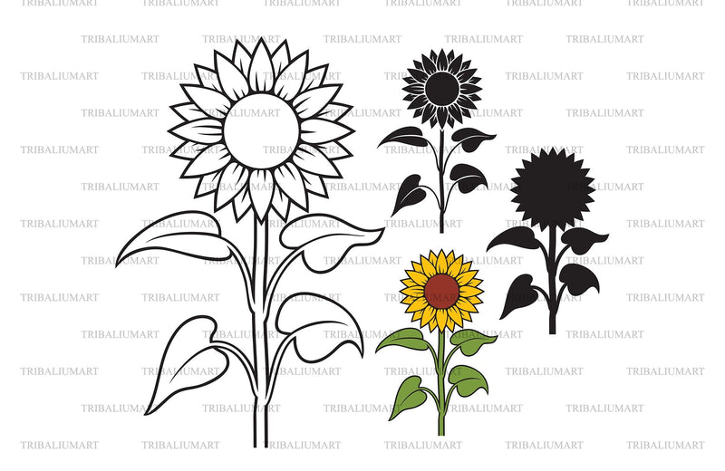 Sunflower flower with stem and leaves SVG TribaliumArtSF 